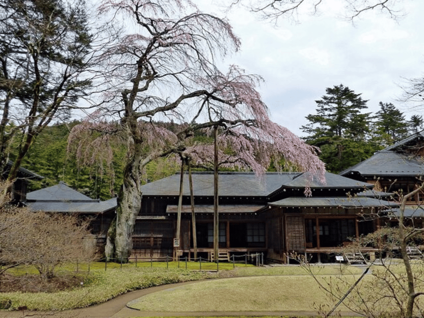Tokyo: Nikko World Heritage Private Day Trip Hotel Pick-up - Toshogu Shrine: Color, Carvings, and Tokugawa Ieyasu
