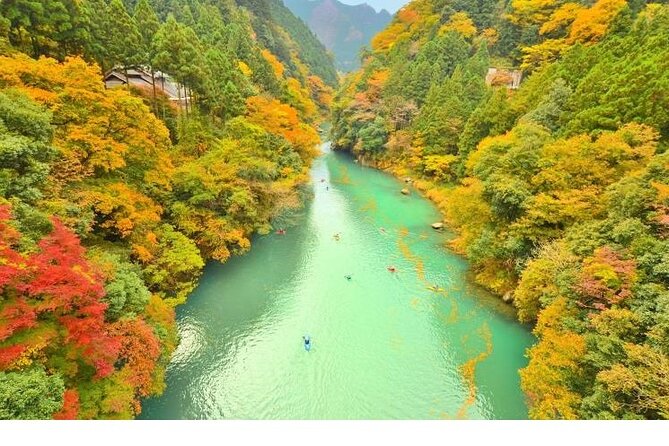 Tokyo Okutama Day Trip Tour - Key highlights to know before you go