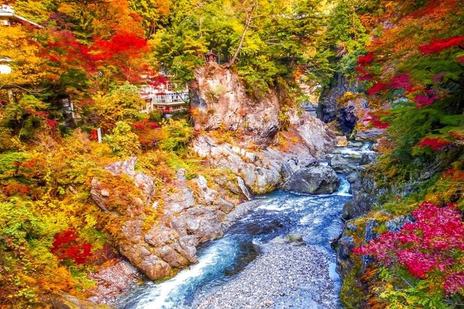 Tokyo Okutama Day Trip Tour - Tokyo to Okutama, the fast path to cleaner air and real quiet