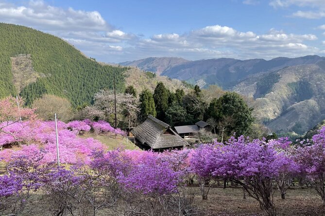 Tokyo Okutama Day Trip Tour - Lake Okutama drive and the Tsukiyomi viewpoint picnic