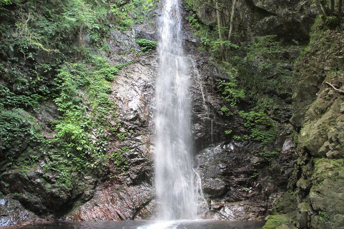 Tokyo Okutama Day Trip Tour - Kanoto Rock: a gorge walk with river energy