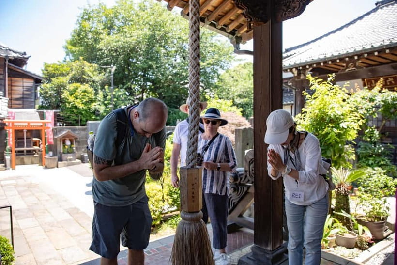 Tokyo: Old Quarter Yanaka Walking Tour - Nezu Shrine: calm, tradition, and the route’s gentle finale