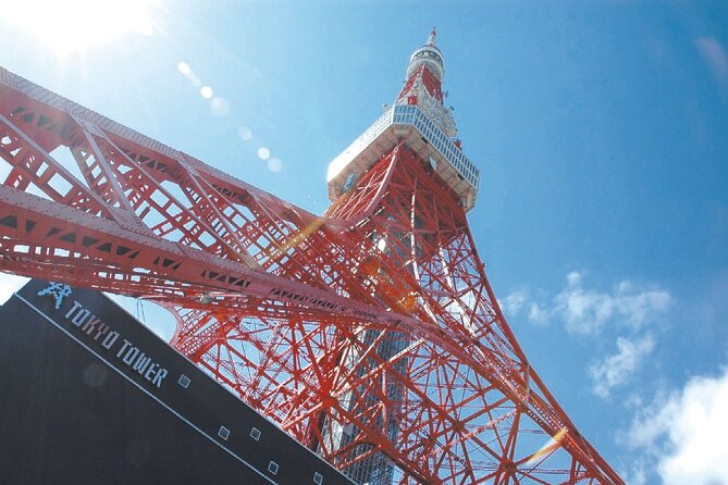 Tokyo Panoramic 1 Day: Meiji Shrine, Asakusa, Odaiba and SKYTREE® - Meiji Jingu Shrine, a quiet forest reset in the middle of the city