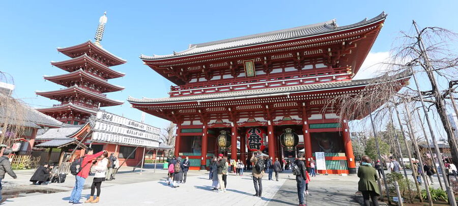 Tokyo: Private City Highlights Tour with Local Guide - Gardens vs. Neighborhoods: How Your Guide Shapes the Flow
