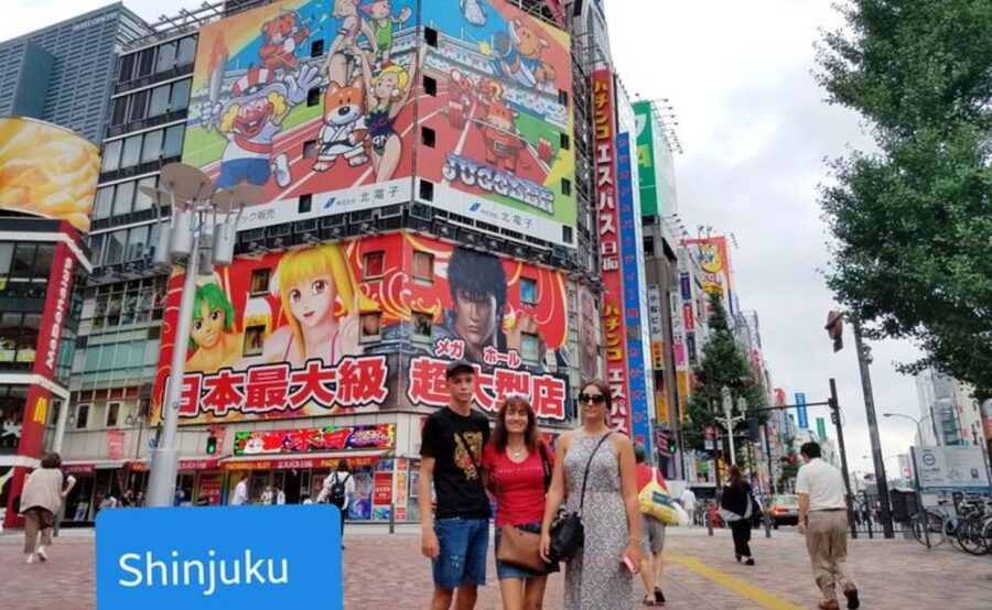 Tokyo: Private Custom Walking Tour with Local Guide - Akihabara and Odaiba: When You Want Tokyo’s Playful Side