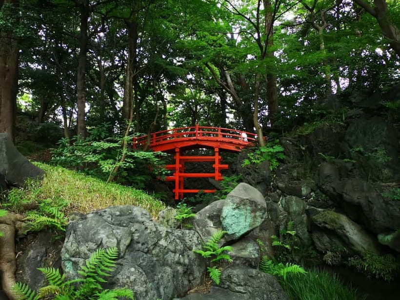 Tokyo: Private & Customizable Tour - All-in-One Experience - Food Stops: Local Choices Without the Random Guessing