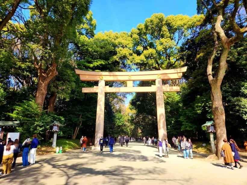 Tokyo: Private & Customizable Tour - All-in-One Experience - Kamakura Is a Smart Extension for Longer Days