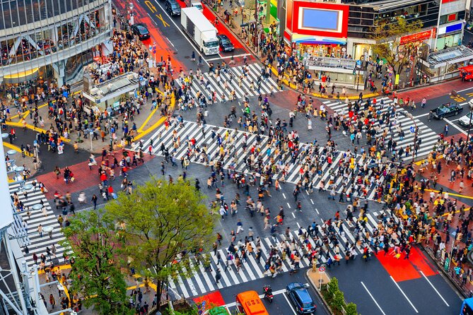 Tokyo Private Customizable Tour with English Speaking Chauffeur - The chauffeur experience: English speaking and built around your day