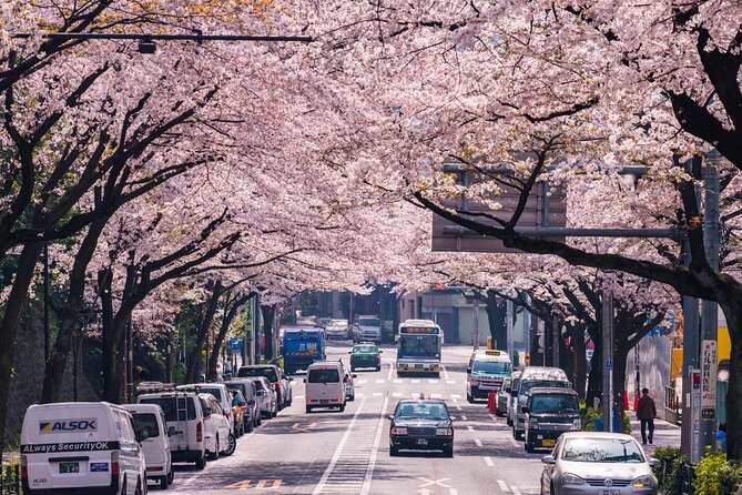 Tokyo Private Customizable Tour with English Speaking Chauffeur - Should you book this Tokyo private tour?