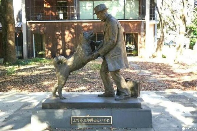 Tokyo Private Day Tour by Car with English speaking Driver Guide - Key highlights worth knowing