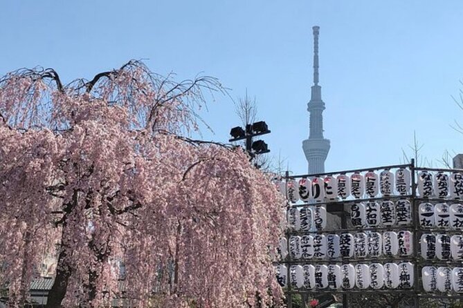 Tokyo Private Day Tour by Car with English speaking Driver Guide - Stop 6: Tsukiji Fish Market area, fast food and fresh atmosphere