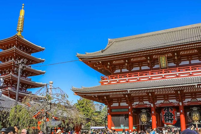 Tokyo Private Day Trip - Enjoy Your First-Time Visit to Tokyo! - Guides Make Or Break The Day: What You Can Learn From Guide Feedback