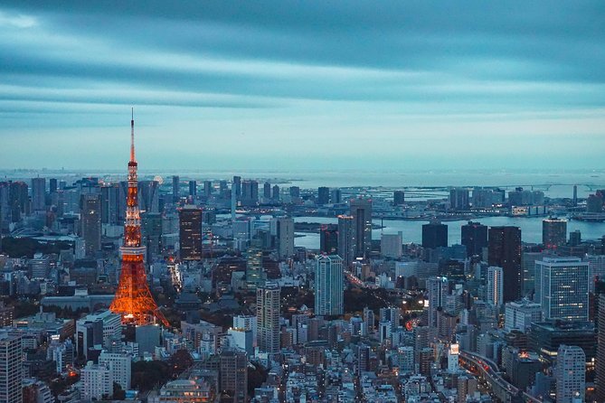 Tokyo Private Full-Day Tour by Car or Van - Stop 5: Meiji Jingu Shrine (45 Minutes, Free) plus Optional Yoyogi and Takeshita
