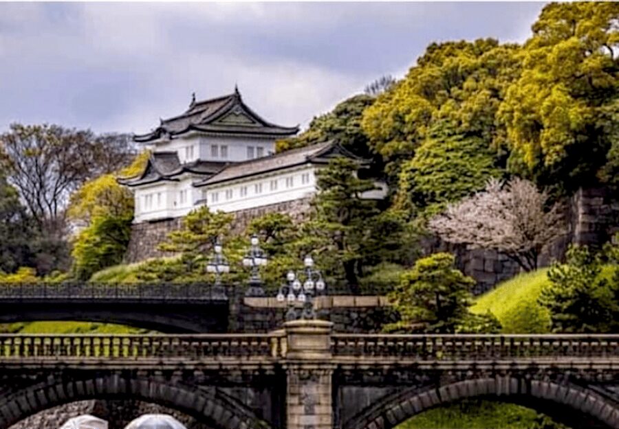 Tokyo: Private Guided Tour with Hotel Pickup and Drop-off - A private Tokyo day built around your stops, not a script