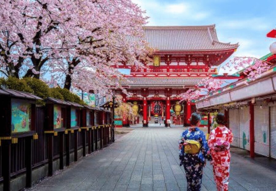 Tokyo: Private Guided Tour with Hotel Pickup and Drop-off - Skytree views and Meiji Shrine calm, two mood swings in one day