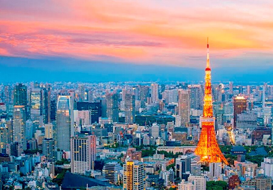 Tokyo: Private Guided Tour with Hotel Pickup and Drop-off - Shibuya, Harajuku, and Odaiba: shopping energy and Tokyo styles