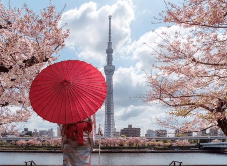 Tokyo: Private Guided Tour with Hotel Pickup and Drop-off - Should you book this private Tokyo day tour?