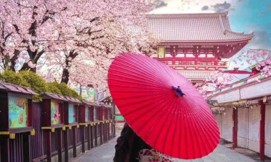 Tokyo: Private Guided Tour with Hotel Pickup and Drop-off - Price and logistics: when $461 feels fair
