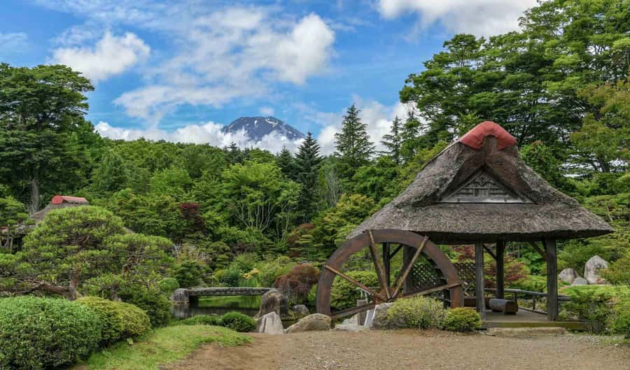 Tokyo: Private Mount Fuji Tour with Pickup and Drop-Off - Customizing your day: how guides turn options into a better route