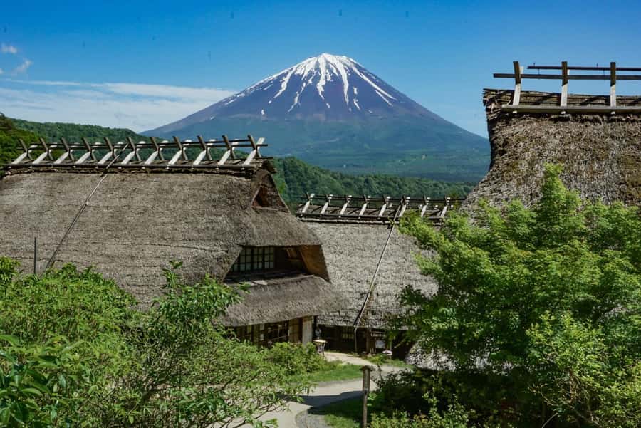 Tokyo: Private Mount Fuji Tour with Pickup and Drop-Off - Who should book this private tour (and who should skip it)