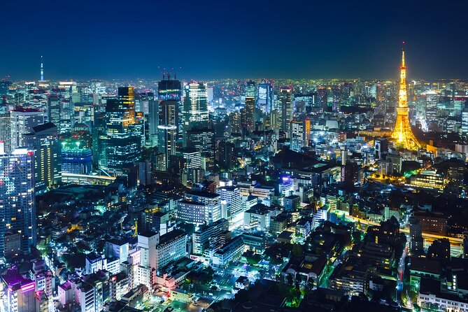 Tokyo Private Sightseeing Tour by Car and English Speaking Driver - Key things to know before you go