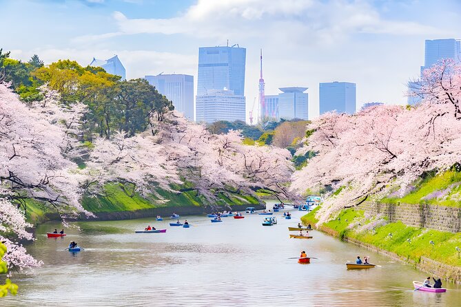 Tokyo Private Sightseeing Tour by Car and English Speaking Driver - Stop 2 in Sumida: Tokyo Skytree and how to plan for viewpoint time