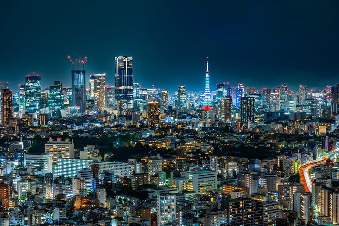 Tokyo Private Sightseeing Tour by Car and English Speaking Driver - Meiji Jingu in Harajuku: the forest break you will feel in your feet