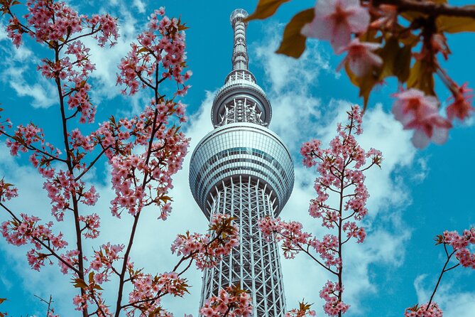 Tokyo Private Sightseeing Tour by Car- English speaking chauffeur - Takeshita Street: Pop Culture, Youth Style, and Sweet Breaks