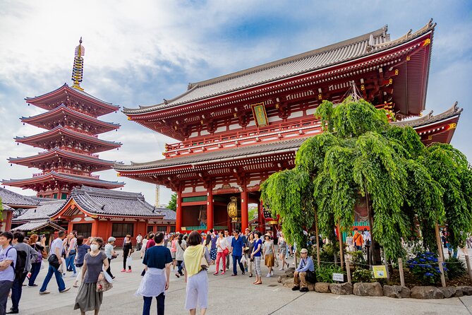 Tokyo Private Sightseeing Tour by Car - English speaking driver - Tsukiji Outer Market: where food culture feels loud and real