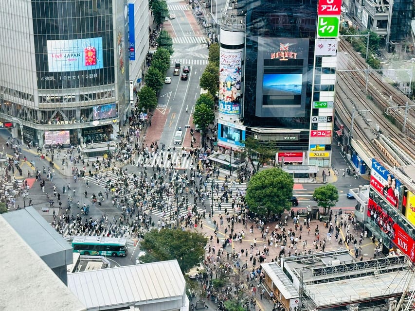 Tokyo: Private Tailored Tour with a Local Guide - Shinjuku Views at the Metropolitan Government Building and Omoide Yokocho