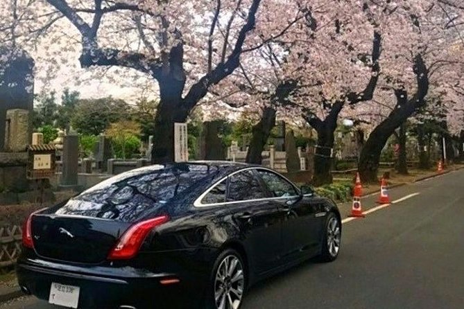 Tokyo Private Tour by Vehicle with English-Speaking Chauffeur - Pickup, pocket WiFi, and how the day runs end to end