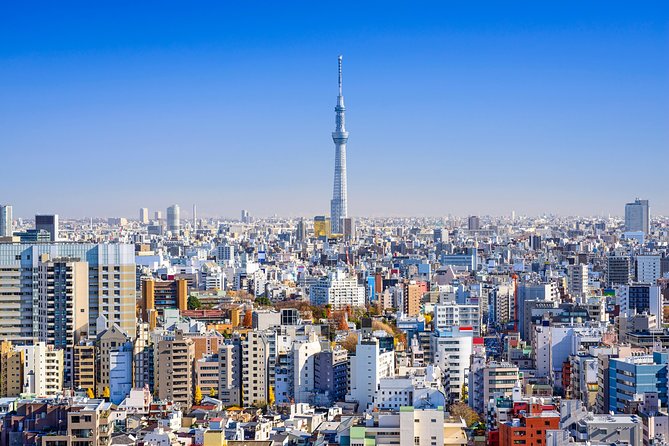 Tokyo Private Tour by Vehicle with English-Speaking Chauffeur - Tsukiji Outer Market: fish smells, street energy, and flexible timing