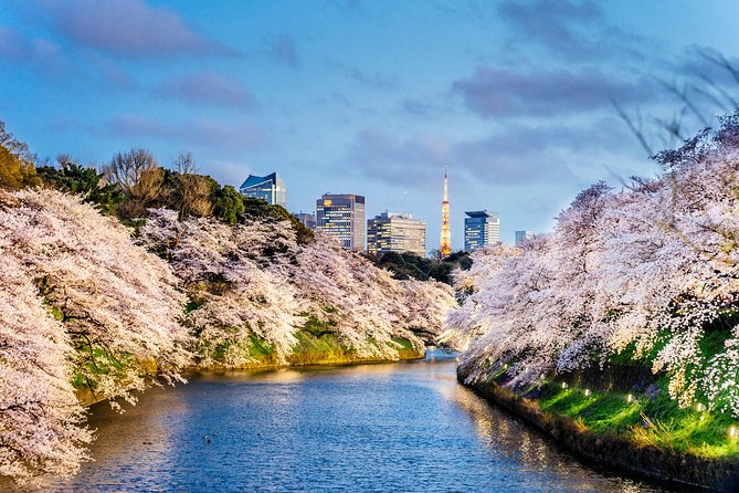 Tokyo Private Tour by Vehicle with English-Speaking Chauffeur - Senso-ji and Asakusa: your Tokyo “start button”