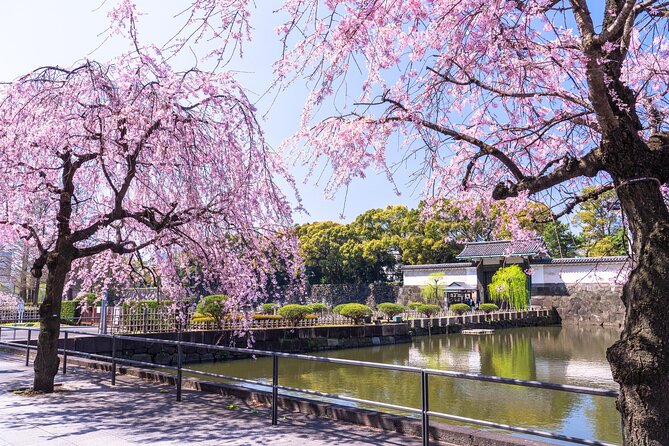 Tokyo Private Tour! Edo Castle & Imperial Palace East Gardens - Imperial Palace East Gardens plus Edo Castle ruins, without the confusion