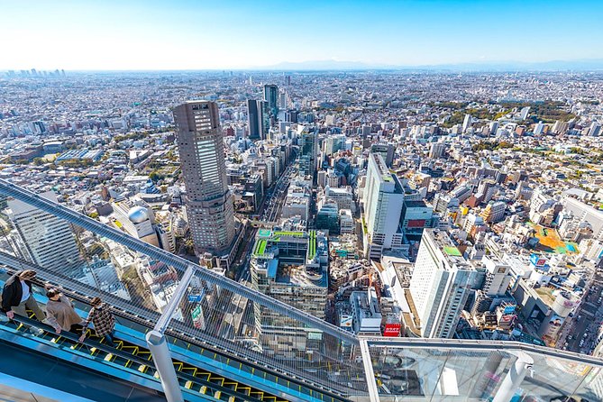 Tokyo Private Tour: One Day Highlights and Optional Shibuya Sky - Quick reasons to book this Tokyo highlights private tour