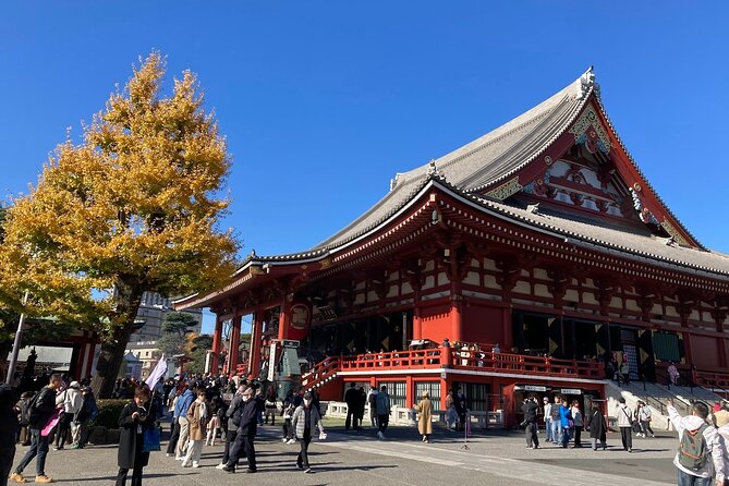 Tokyo Private Tour: One Day Highlights and Optional Shibuya Sky - Meiji Jingu and Harajuku timing: calm shrine energy after the city rush