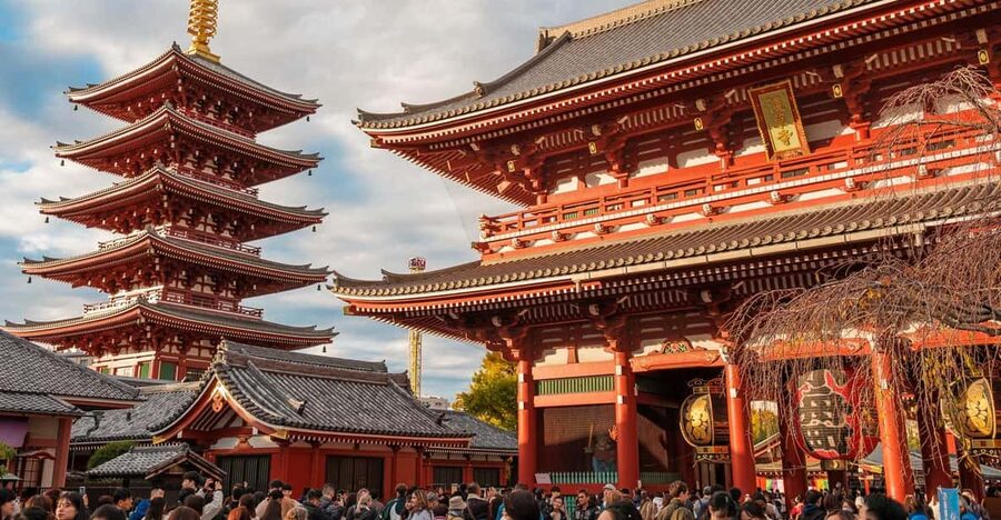 Tokyo: Private Walking Tour with a Local Guide - Public transport skills your guide can teach you fast