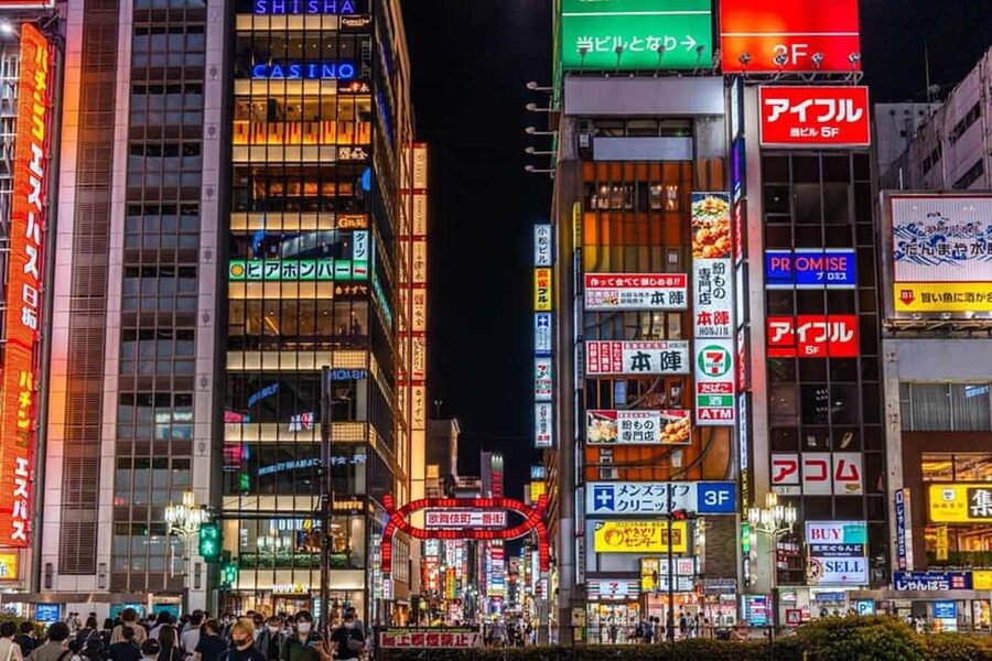 Tokyo: Private Walking Tour with a Local Guide - Practical details that can make or break the day