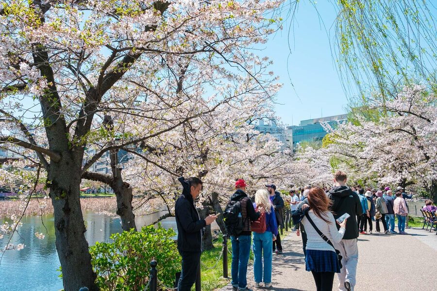 Tokyo: Private Walking Tour with a Local Guide - Should you book this private Tokyo walking tour?