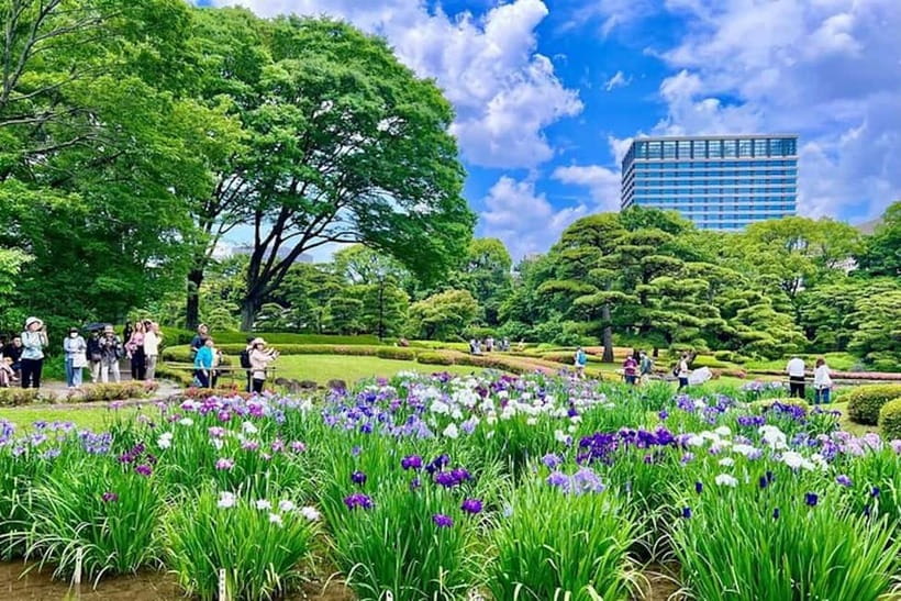 Tokyo: Pvt. Tour - Edo Castle & Imperial Palace East Gardens - Price and value for a private 2-hour site visit