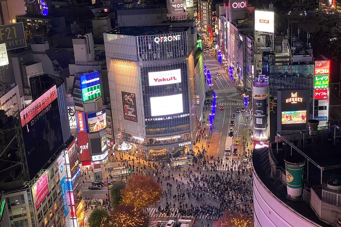 Tokyo: Shibuya Highlights Walking Tour - The Elevated View: Understanding Shibuya’s Layout From Above