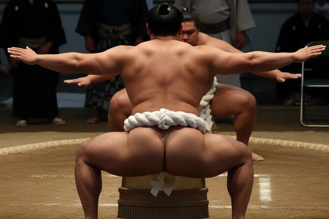 Tokyo Shinjuku Sumo Show & Experience with Photo - What Happens in the Ring: Rituals, Tactics, and the Stuff You Usually Miss