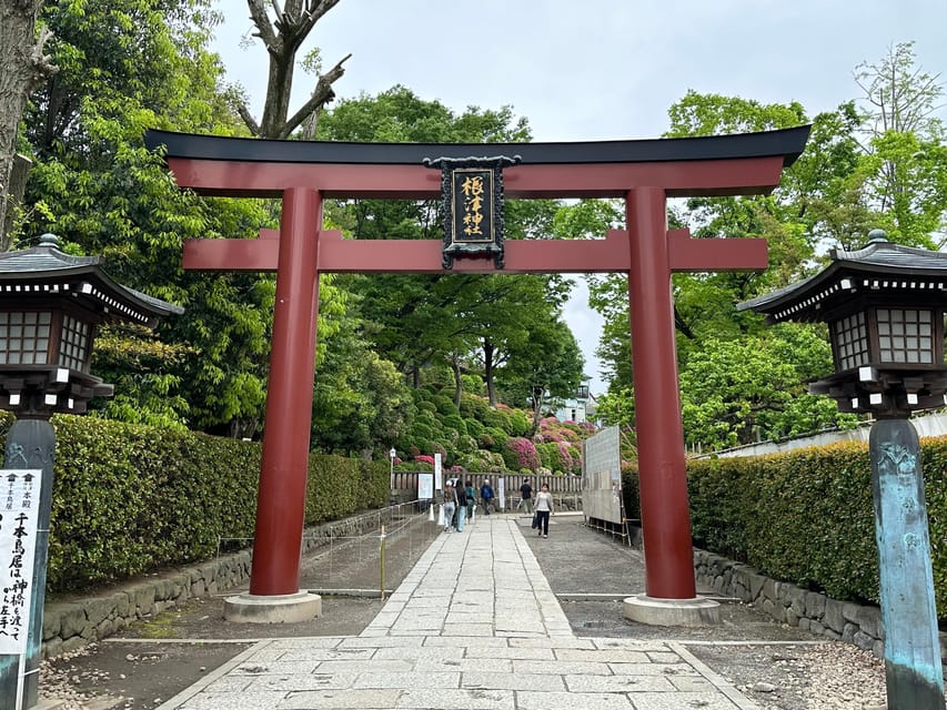 Tokyo:Stroll in Old traditional culture towns~Yanaka & Nezu - Spring sakura mochi, summer cafe breaks: how the tour adapts