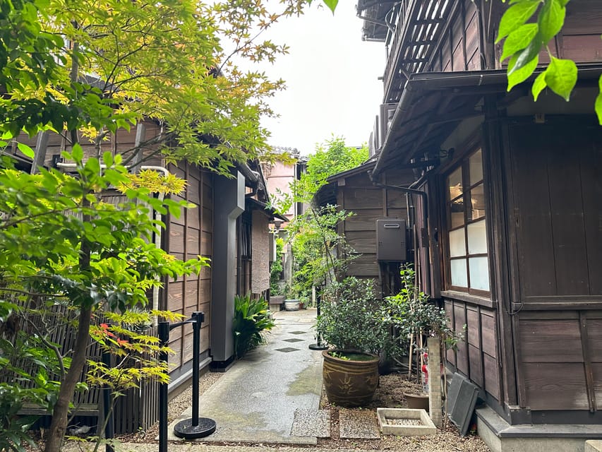 Tokyo:Stroll in Old traditional culture towns~Yanaka & Nezu - Nezu Shrine’s torii path: the calm side of a major worship site