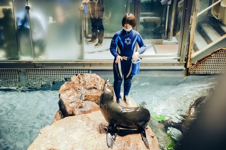 Tokyo: Sumida Aquarium Entry Ticket - Cafe breaks, lunch inside, and how to handle photos