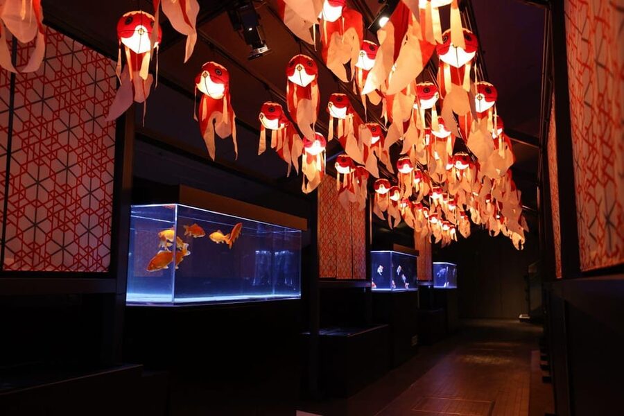 Tokyo: Sumida Aquarium Entry Ticket - Know the rules that affect your visit (and comfort level)