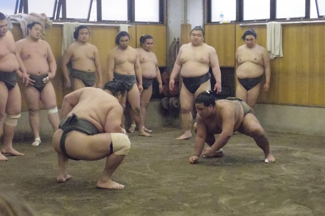 Tokyo Sumo Morning Practice Tour at Stable - What practice looks like up close: sparring, routine, and real effort