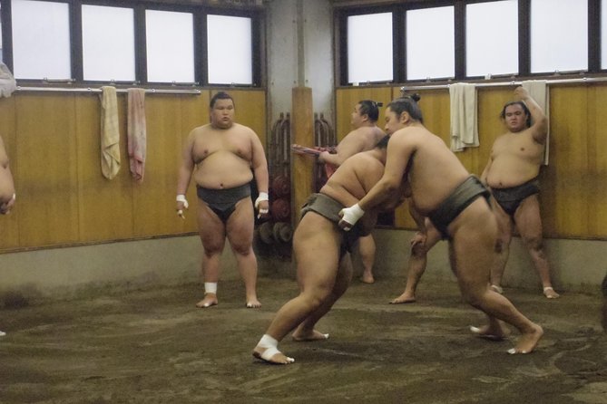 Tokyo Sumo Morning Practice Tour at Stable - Seating, sightlines, and the headset reality check