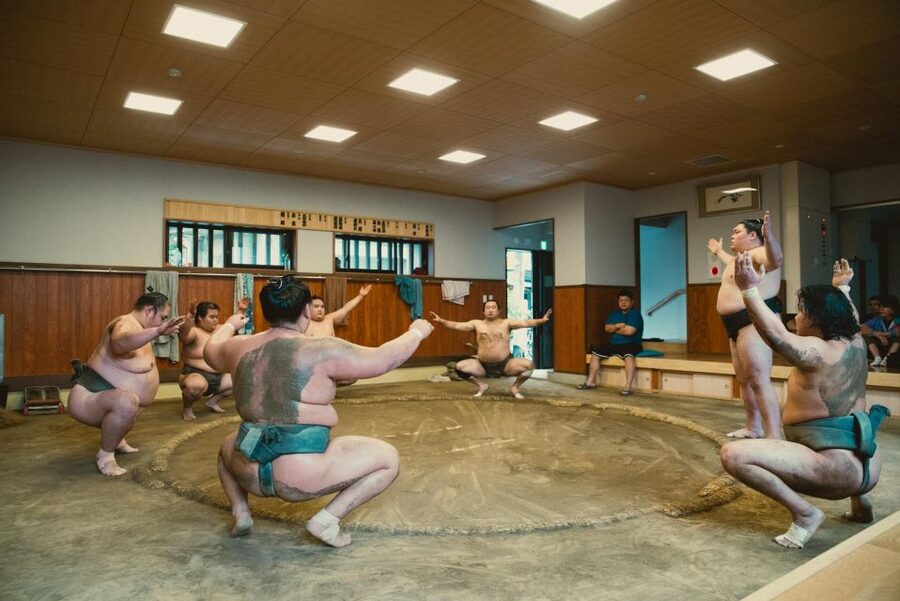 Tokyo: Sumo Morning Practice Tour at Sumida City - Who Should Book This Sumida Sumo Morning Practice Tour