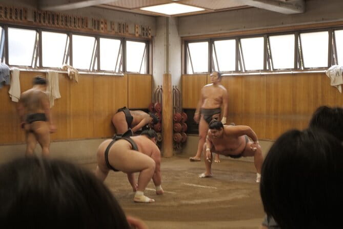 Tokyo Sumo Morning Practice Tour w/ Ring-Side Seat + Photo Shoot - Small group size, ring-side style viewing, and seating reality